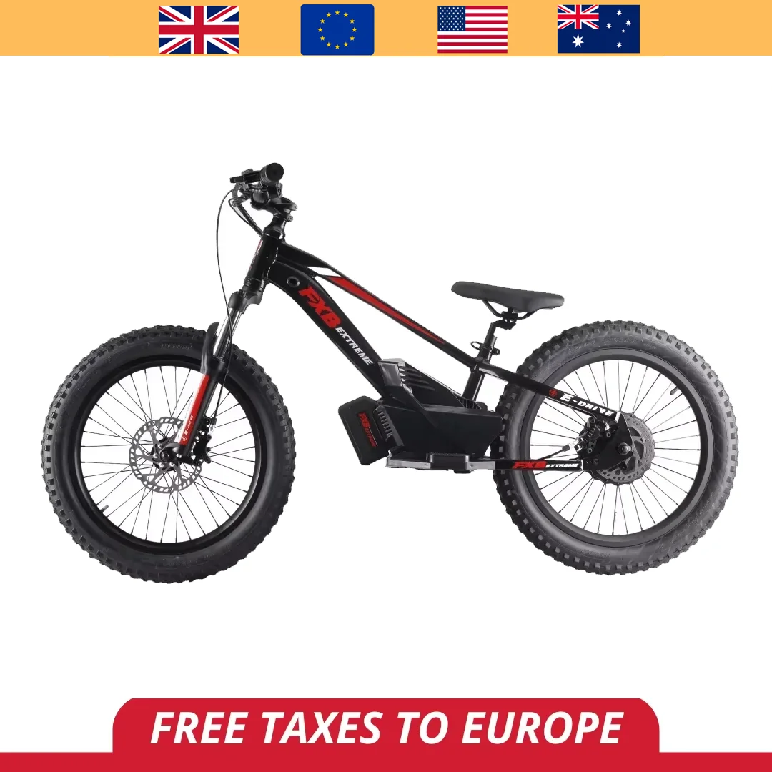 2024 Electric Bike 800W 36V Child's Electric Balance Bicycle 20" Kid Ebike
2024 Electric Bike 800W 36V Child's Electric Balance Bicycle 20" Kid Ebike