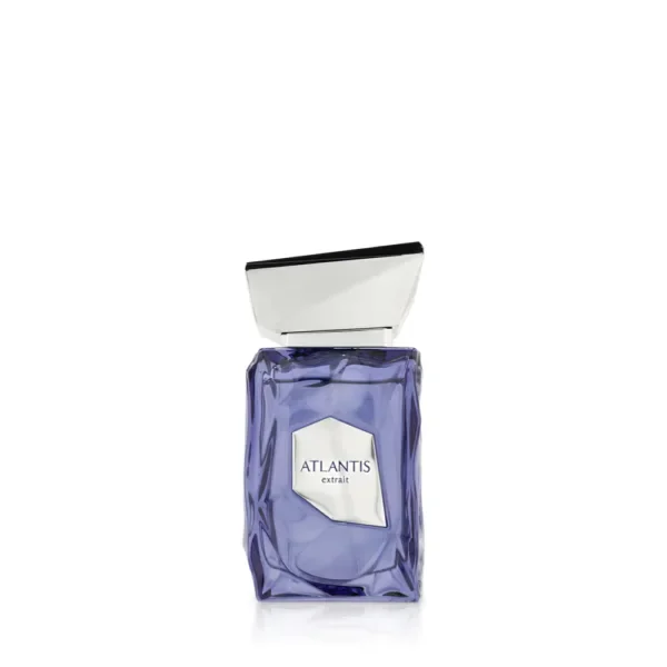 Atlantis Extrait EDP 100ml by French Avenue
Atlantis Extrait EDP 100ml by French Avenue