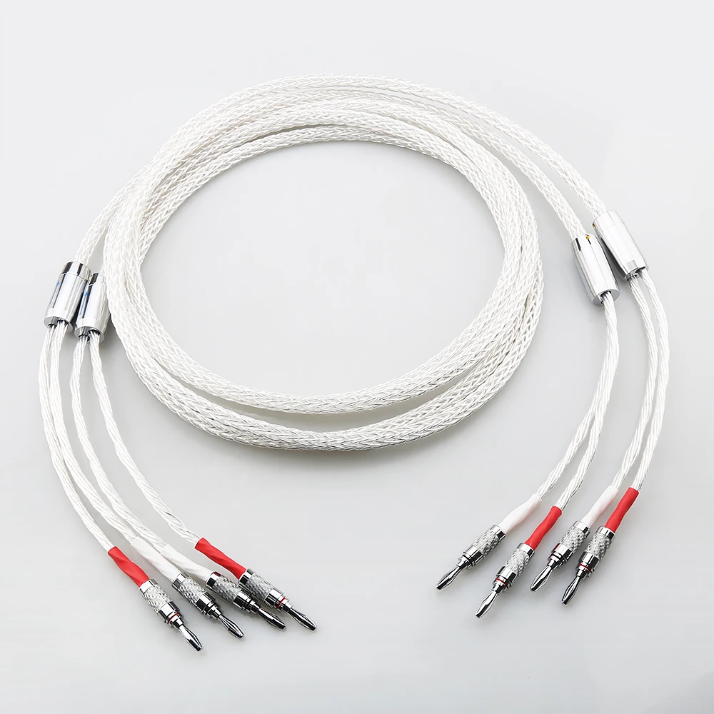 Пара высококачественных посеребренных акустических кабелей OCC 8AG, двухпроводной кабель громкоговорителя с 2 соединениями типа «банан» на 4 типа «банан» для аудиофилов HIFI
Пара высококачественных посеребренных акустических кабелей OCC 8AG, двухпроводной кабель громкоговорителя с 2 соединениями типа «банан» на 4 типа «банан» для аудиофилов HIFI