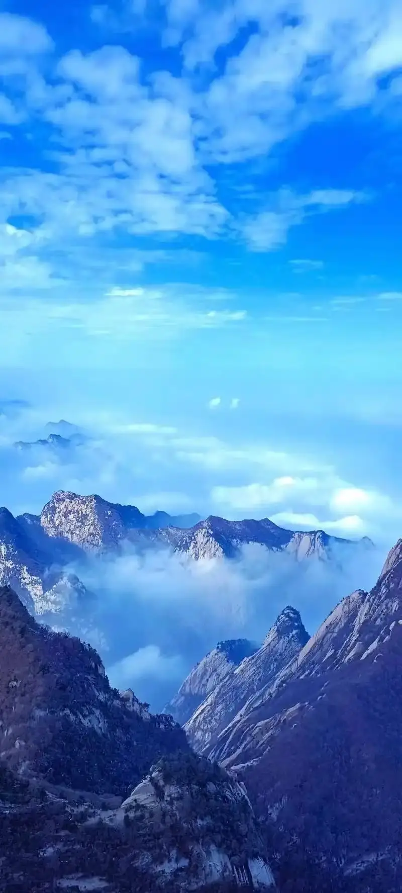 Портативный Emtt Physio Magneto Therapy Magnetoterapia Облегчение боли PEMF Спортивная терапия травм Магнитотерапия Физиотерапевтический аппарат
Портативный Emtt Physio Magneto Therapy Magnetoterapia Облегчение боли PEMF Спортивная терапия травм Магнитотерапия Физиотерапевтический аппарат