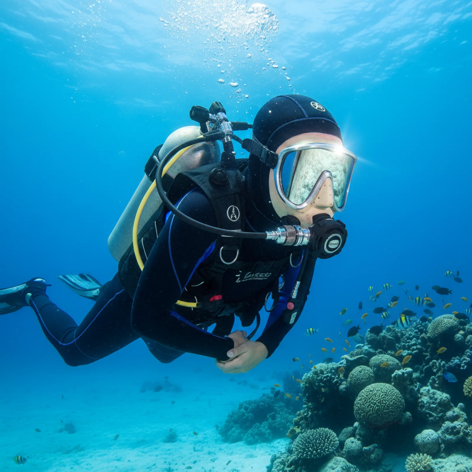 Scuba Regulator Hose Holder Professional Secondary Head Adjuster Easy Installation for Diving Regulator Spare Parts
Scuba Regulator Hose Holder Professional Secondary Head Adjuster Easy Installation for Diving Regulator Spare Parts