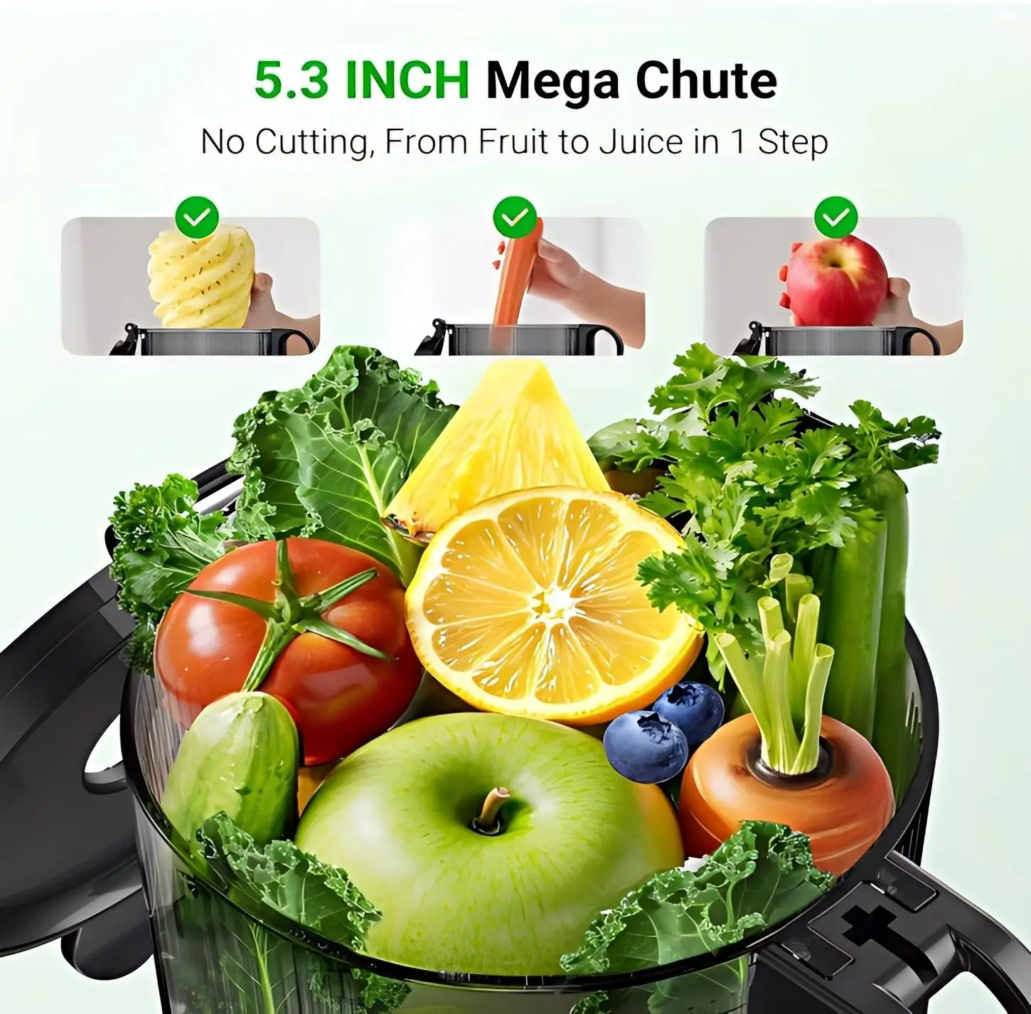 Multi-functional Cold Press Masticating Juicer, Easy To Clean Slow Juice Extractor For Fruits And Vegetables
Multi-functional Cold Press Masticating Juicer, Easy To Clean Slow Juice Extractor For Fruits And Vegetables
