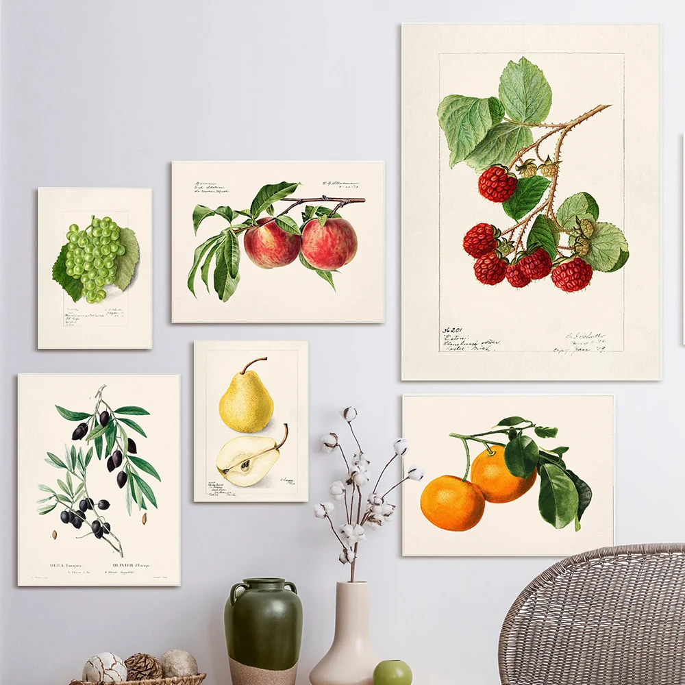 Vintage Retro Fruit Poster Avocado Strawberry Scandinavian Canvas Painting Wall Art Posters Prints Decor for Kitchen Dining Room
Vintage Retro Fruit Poster Avocado Strawberry Scandinavian Canvas Painting Wall Art Posters Prints Decor for Kitchen Dining Room