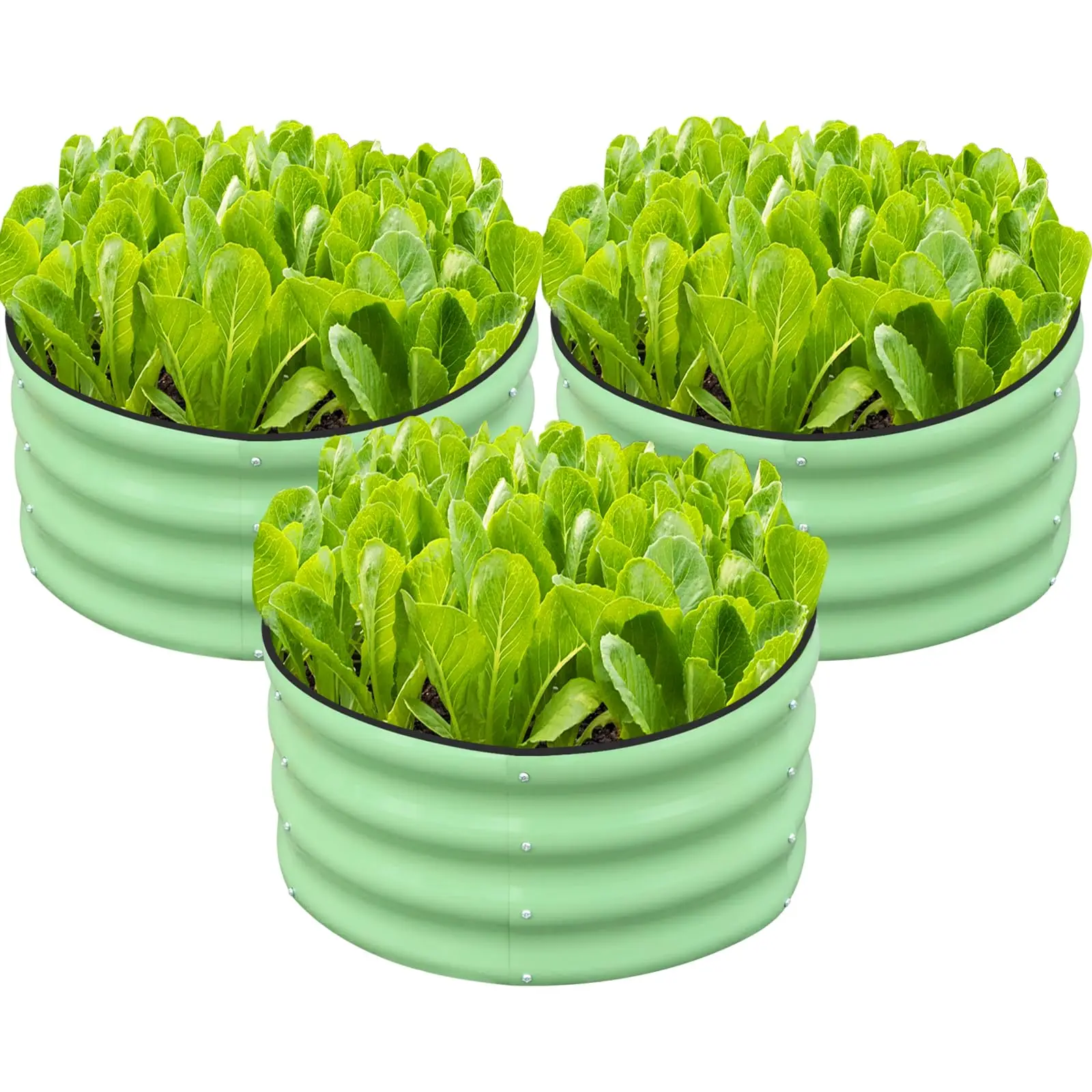 3 PCS Galvanized Metal Raised Garden Bed 2x2x1FT Round - Elevated Planter Box for Vegetables/Herbs, Rust-Resistant, Outdoor
3 PCS Galvanized Metal Raised Garden Bed 2x2x1FT Round - Elevated Planter Box for Vegetables/Herbs, Rust-Resistant, Outdoor
