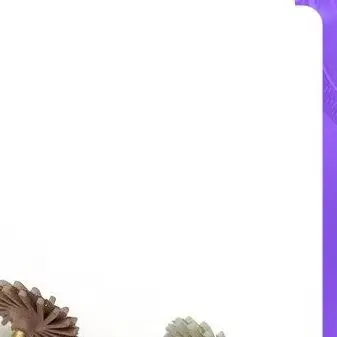 6 шт./кор., полировальные боры для стоматологической лаборатории, комплект полировальных дисков из композитной смолы, сверла для полировки зубов, принадлежности для стоматолога
6 шт./кор., полировальные боры для стоматологической лаборатории, комплект полировальных дисков из композитной смолы, сверла для полировки зубов, принадлежности для стоматолога