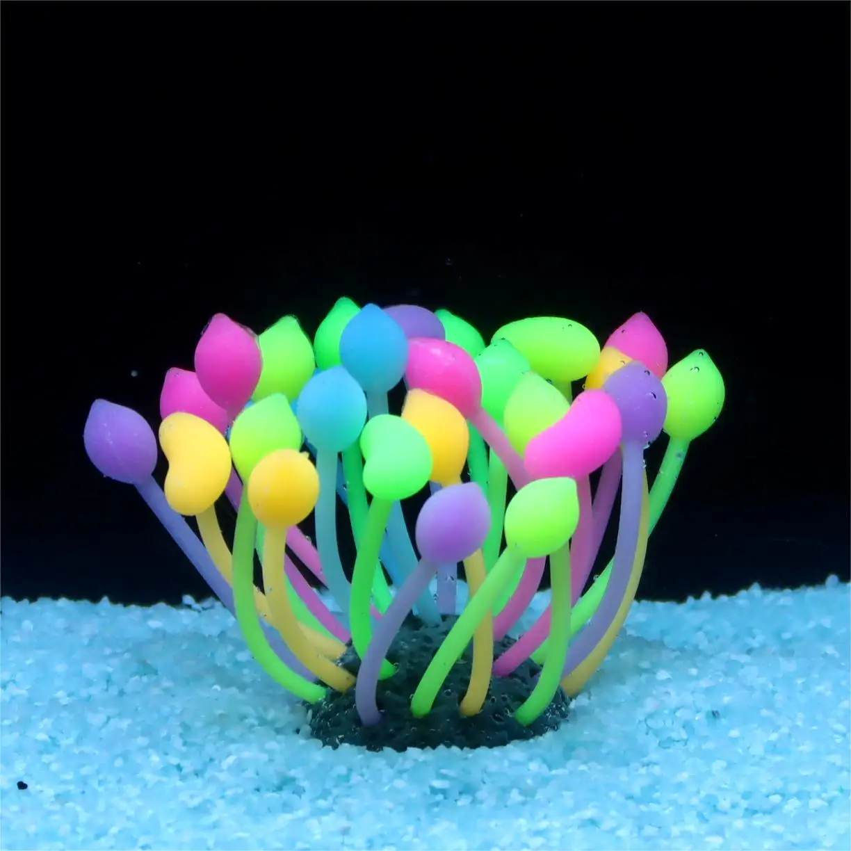 Vibrant Silicone Bubble Coral for Aquariums - Fish Tank Decorative Ornament, Colorful
Vibrant Silicone Bubble Coral for Aquariums - Fish Tank Decorative Ornament, Colorful