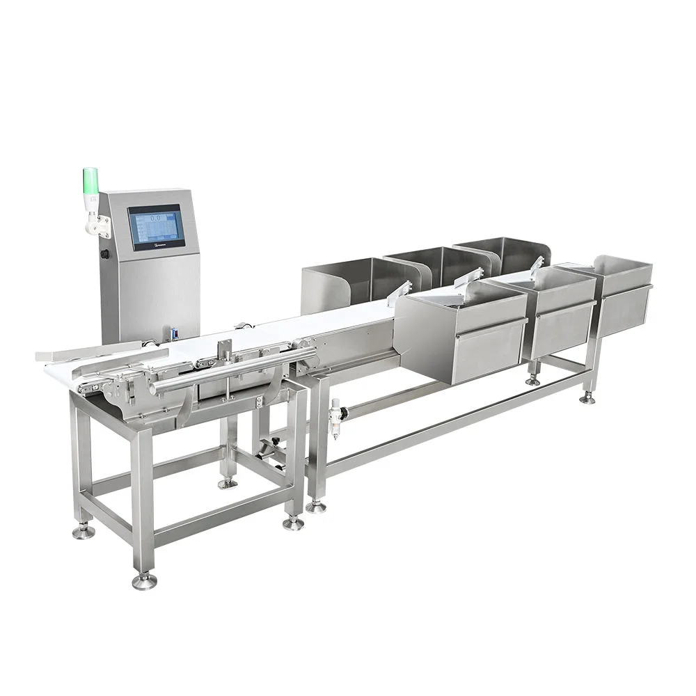 Conveyor Checkweigher Scale Supplier Check Weigher Machine Price Digital Weight Check
Conveyor Checkweigher Scale Supplier Check Weigher Machine Price Digital Weight Check