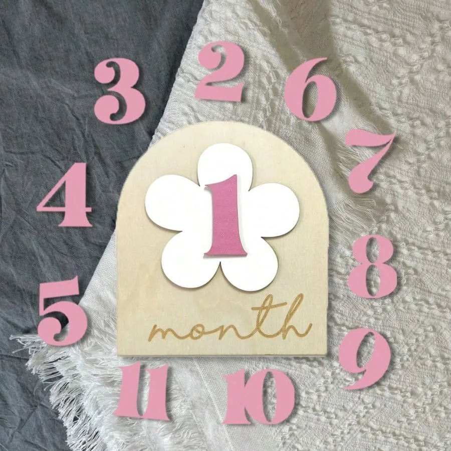 Baby Monthly Growth Milestone Wood Plaque with Replaceable Numbers Record Baby's Development Christening Gift Newborn Gift
Baby Monthly Growth Milestone Wood Plaque with Replaceable Numbers Record Baby's Development Christening Gift Newborn Gift