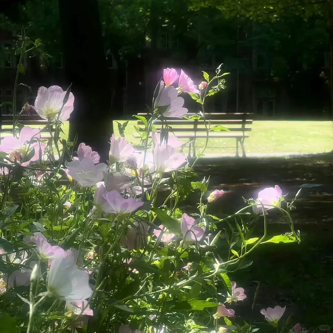 808 Permanent Hair Remover Diode Laser 3 Wave 808nm Beauty Hair Removal Laser Machine
808 Permanent Hair Remover Diode Laser 3 Wave 808nm Beauty Hair Removal Laser Machine