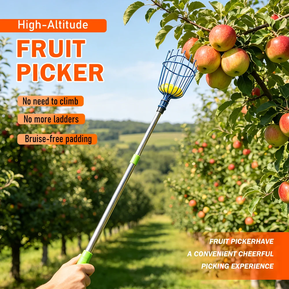 High Altitude Fruit Picker Stainless Steel Telescopic Rod Fruit Picking Tool Garden Farm Picking Fruit Catcher Detachable Handle
High Altitude Fruit Picker Stainless Steel Telescopic Rod Fruit Picking Tool Garden Farm Picking Fruit Catcher Detachable Handle
