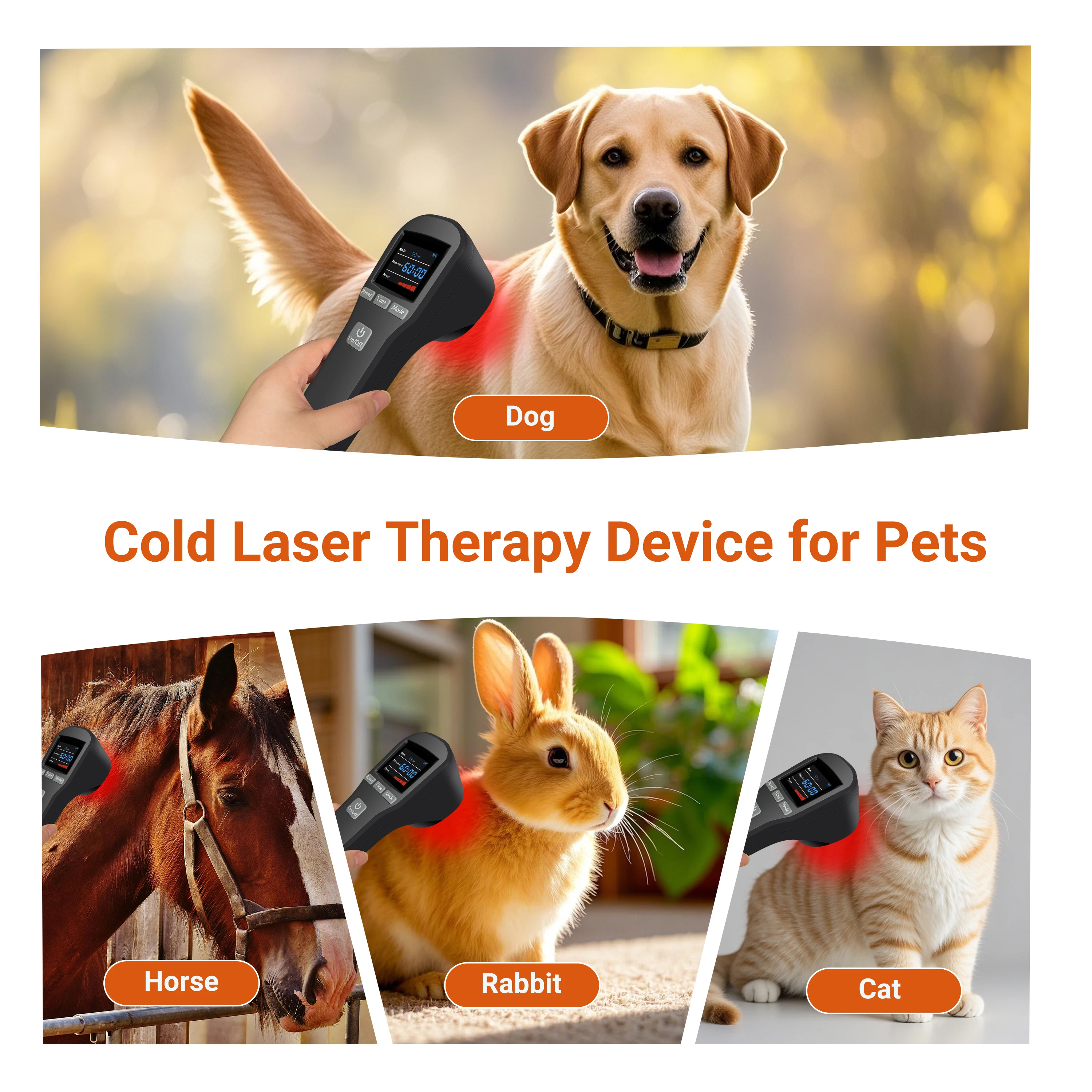 4x808nm LLLT Physiotherapy Equipment Body Pain Laser Therapy Device Relieves Pain Wrists, Knees, Joints
4x808nm LLLT Physiotherapy Equipment Body Pain Laser Therapy Device Relieves Pain Wrists, Knees, Joints