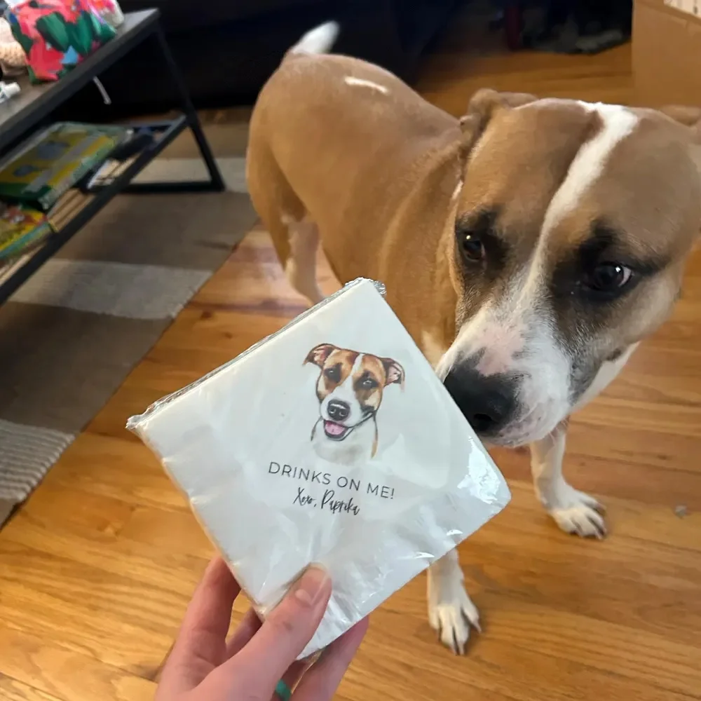 50 шт. полноцветных персонализированных салфеток для свадебного коктейля с изображением питомца, свадебные салфетки на заказ, свадебные салфетки с собаками, салфетки для коктейля для пары с именами
50 шт. полноцветных персонализированных салфеток для свадебного коктейля с изображением питомца, свадебные салфетки на заказ, свадебные салфетки с собаками, салфетки для коктейля для пары с именами