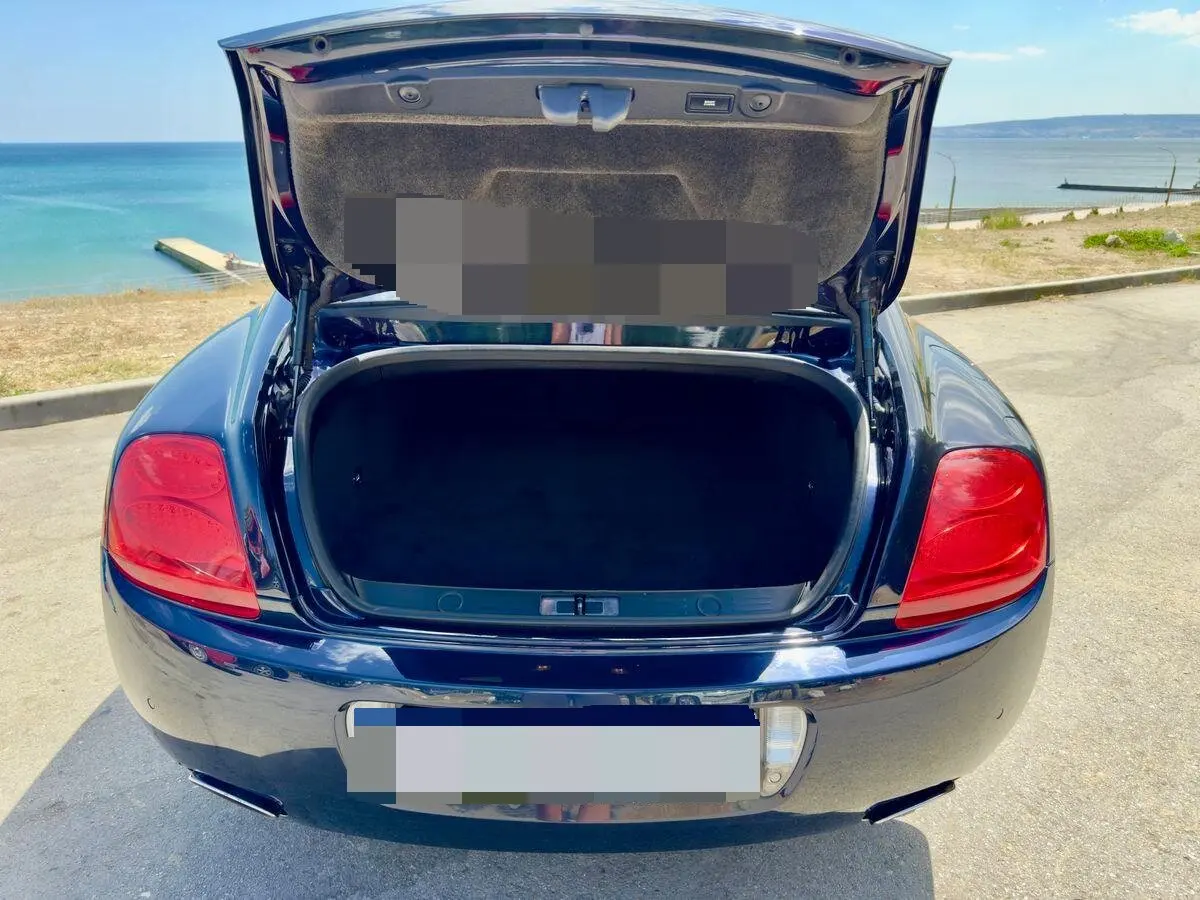 Back Damper WITH SPRING For Bentley Continental GT I MK1 2003-2011 Coupe Manual Trunk Rear Tailgate Boot Gas Struts Lift Support
Back Damper WITH SPRING For Bentley Continental GT I MK1 2003-2011 Coupe Manual Trunk Rear Tailgate Boot Gas Struts Lift Support