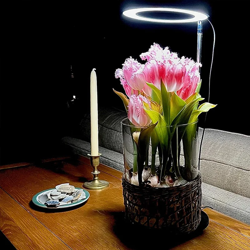 Full Spectrum LED Grow Lights for Indoor Plants Height Adjustable Dimmable Growing Lamp Flower Halo Ring Phyto Lamp Growth Light
Full Spectrum LED Grow Lights for Indoor Plants Height Adjustable Dimmable Growing Lamp Flower Halo Ring Phyto Lamp Growth Light