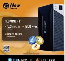 MD Best Offer New Fluminer L1 Doge LTC BEL Coin Miner 5.3Gh/s 1200W
MD Best Offer New Fluminer L1 Doge LTC BEL Coin Miner 5.3Gh/s 1200W