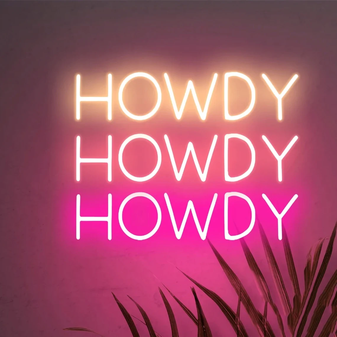 Неоновая вывеска Howdy, Студенческая неоновая вывеска для спальни, бара, Настенный декор, остановка для ресторана, домашний художественный Декор
Неоновая вывеска Howdy, Студенческая неоновая вывеска для спальни, бара, Настенный декор, остановка для ресторана, домашний художественный Декор
