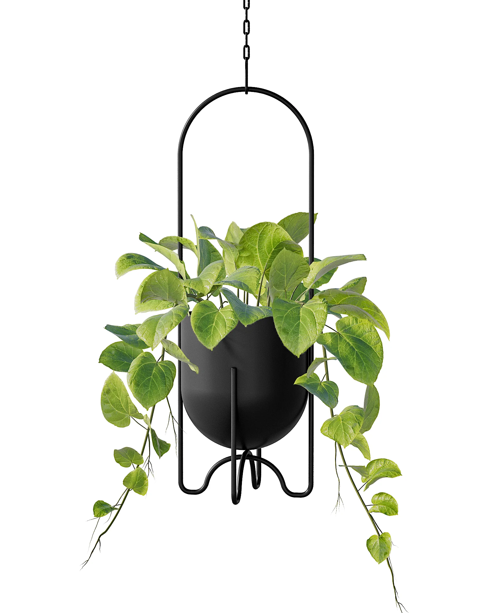 Bamworld Black Hanging Planter Indoor Outdoor Metal Plant Hanger 5 Inch Tabletop Flower Pot No Chains Hooks for Home Decor
Bamworld Black Hanging Planter Indoor Outdoor Metal Plant Hanger 5 Inch Tabletop Flower Pot No Chains Hooks for Home Decor