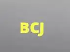BCJ Chandelier Pendant Ceiling Lamp
BCJ Chandelier Pendant Ceiling Lamp