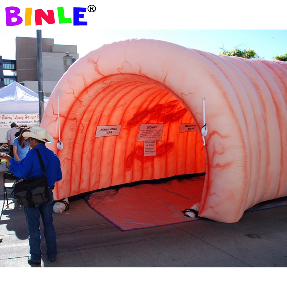 Waterproof oxford cloth super giant inflatable colon tunnel inflatable organ model for school teaching display
Waterproof oxford cloth super giant inflatable colon tunnel inflatable organ model for school teaching display