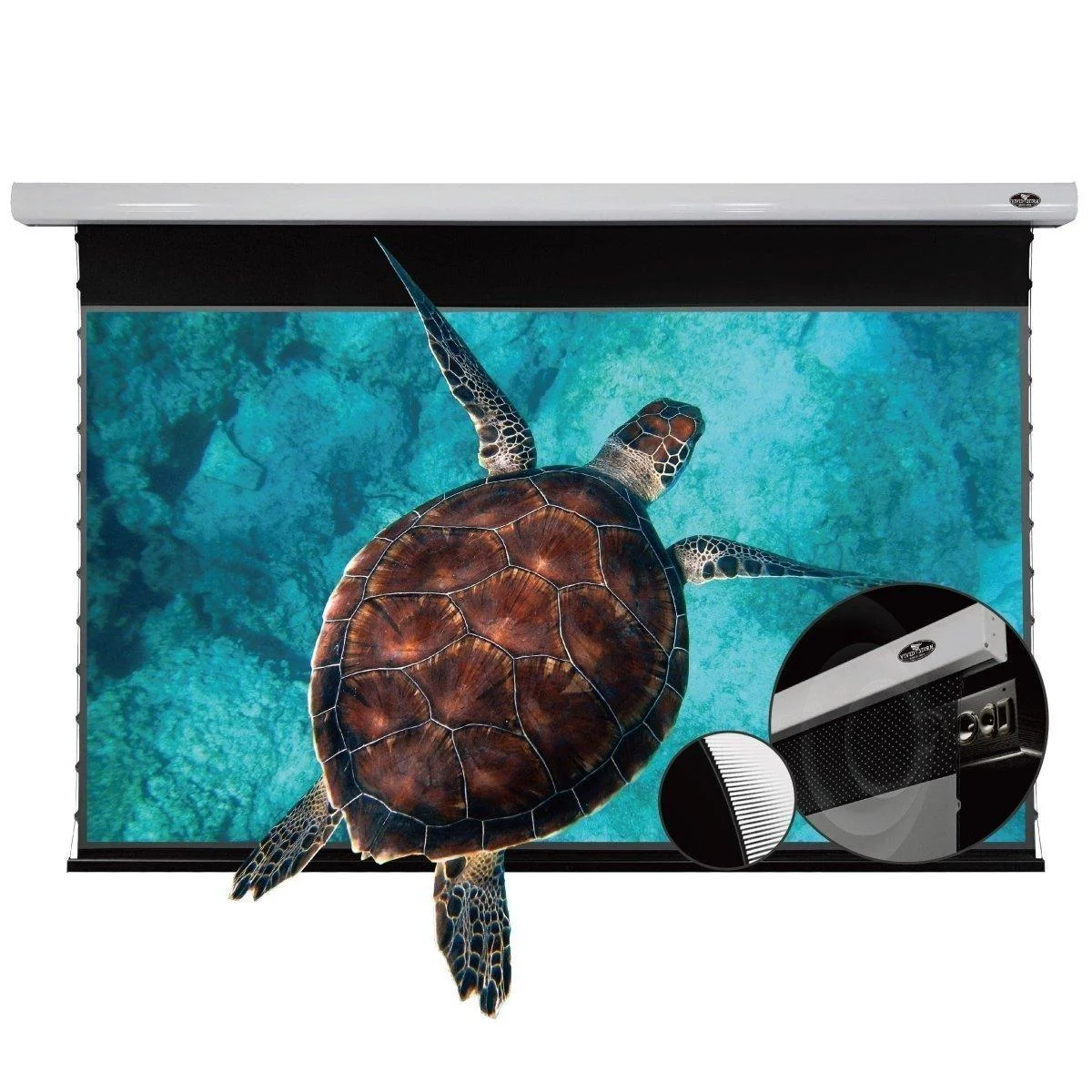 VIVIDSTORM 130 inch PRO P New version Home cinema drop down electric projection screen for 4K/8K Ultra short projector
VIVIDSTORM 130 inch PRO P New version Home cinema drop down electric projection screen for 4K/8K Ultra short projector