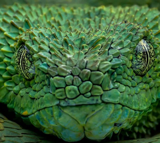 Ultrasound Therapy Machine Pain Physiotherapy Physical Device For Pain Relief Reduce Inflammation
Ultrasound Therapy Machine Pain Physiotherapy Physical Device For Pain Relief Reduce Inflammation