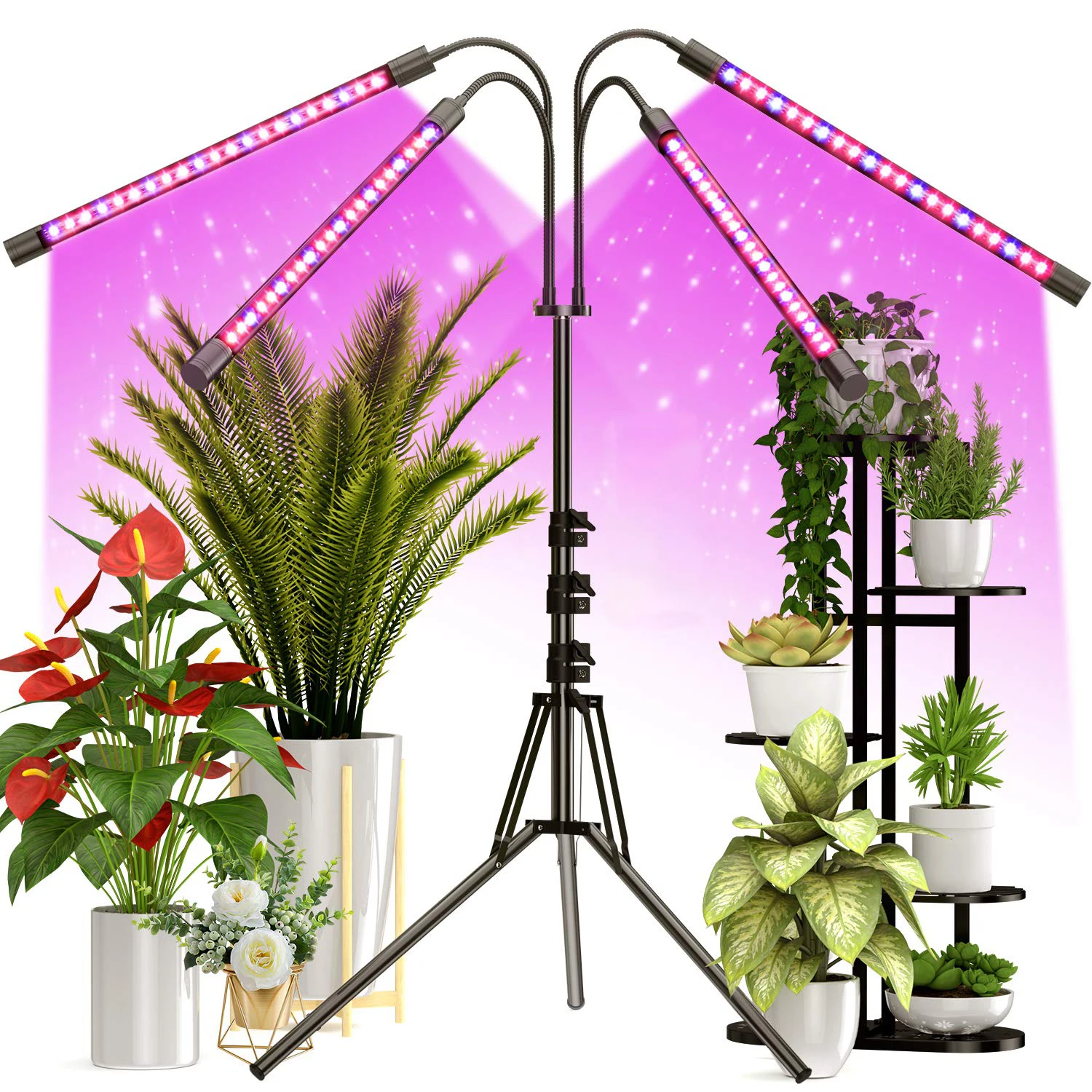 Plant Light For Indoor Plants, 80 LED Full Spectrum Grow Lights For Seed Starting With 15-61 Inches Adjustable Tripod Stand
Plant Light For Indoor Plants, 80 LED Full Spectrum Grow Lights For Seed Starting With 15-61 Inches Adjustable Tripod Stand