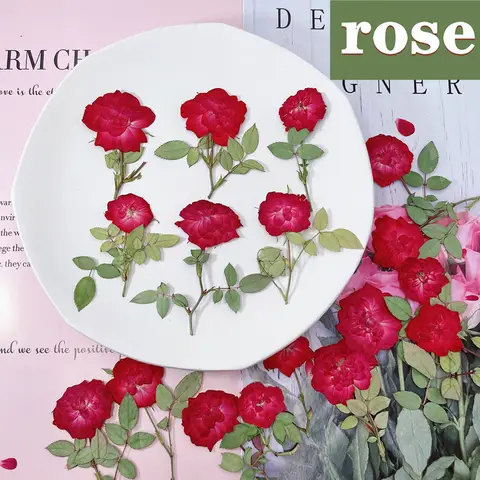 50pcs Pressed Press Dried Rose Dry Flower Plants For Epoxy Resin Pendant Necklace Jewelry Making Craft DIY Accessories