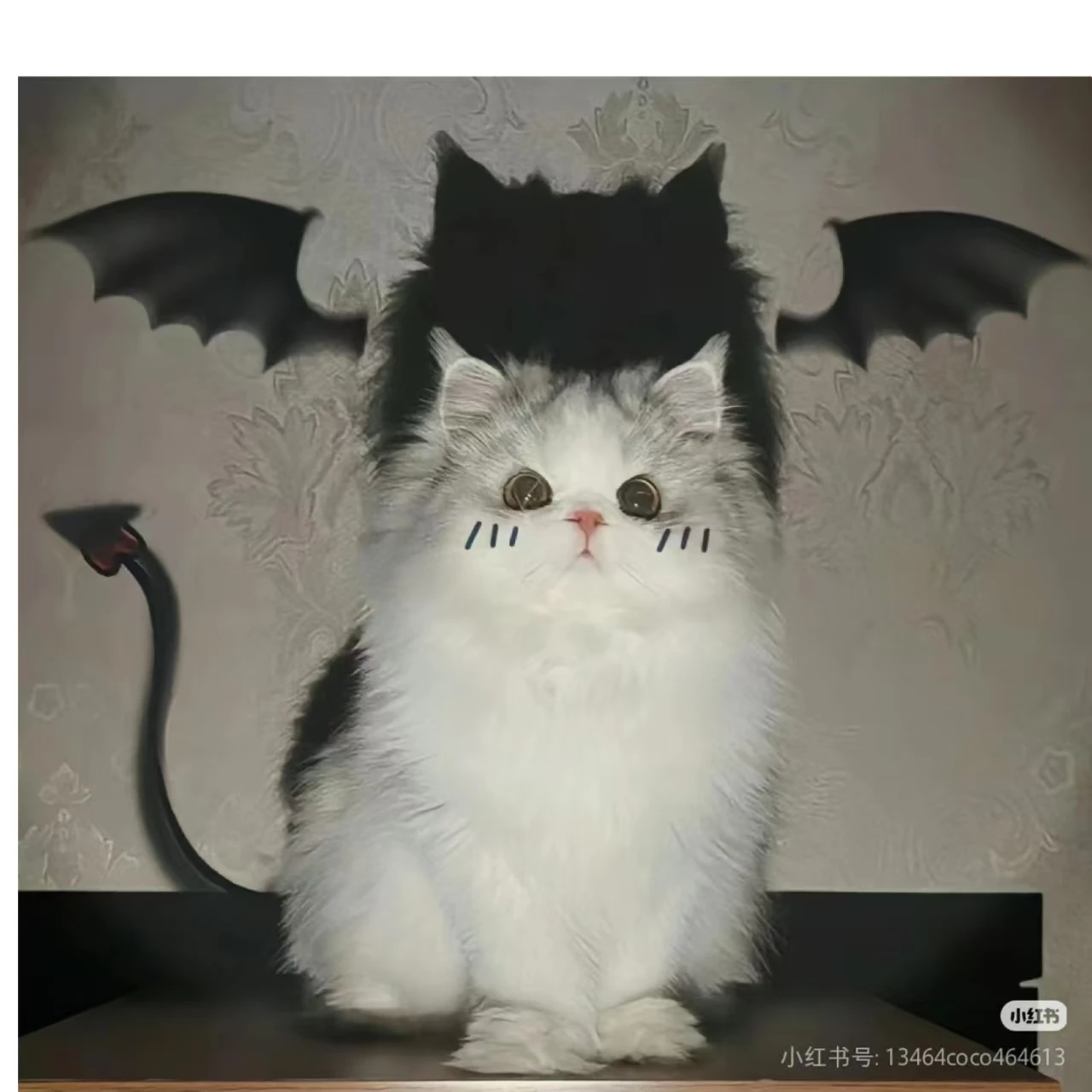 Фракционный CO2-аппарат для подтяжки влагалища, удаления пигментации, омоложения кожи, устранения морщин и шрамов от акне
Фракционный CO2-аппарат для подтяжки влагалища, удаления пигментации, омоложения кожи, устранения морщин и шрамов от акне