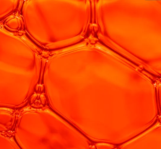 Radio Frequency Monopolar RF Beauty Machine Face Lifting Wrinkle Removal Body Slimming Massager Device Skin Rejuvenation
Radio Frequency Monopolar RF Beauty Machine Face Lifting Wrinkle Removal Body Slimming Massager Device Skin Rejuvenation