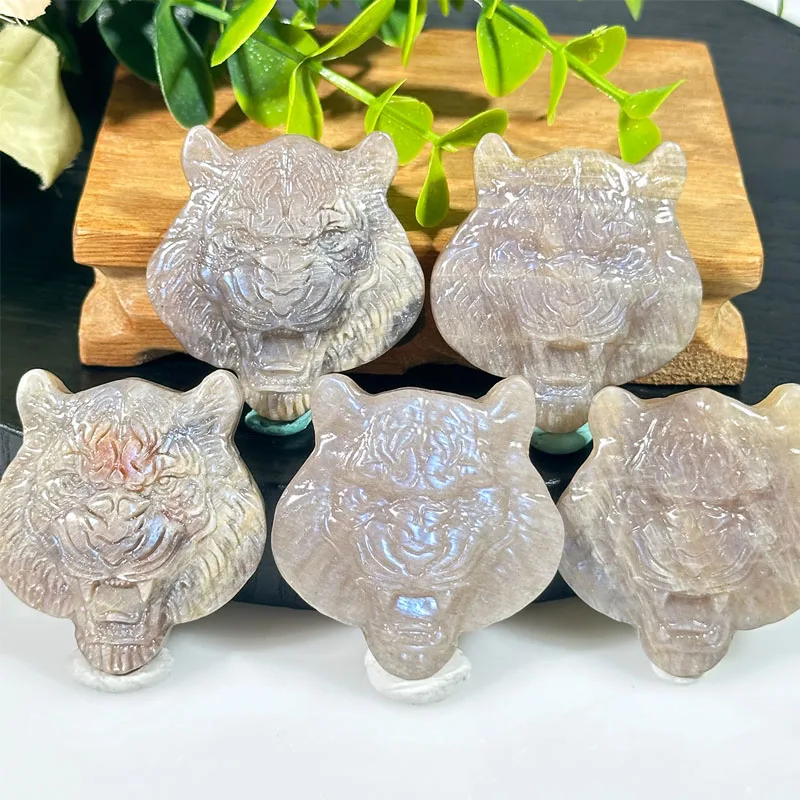 Natural Moonstone Sunstone Tiger Head Belomorite Feldspar Gemstone Animal Skull Inner Strength & Protection Amulet Witchy Gift
Natural Moonstone Sunstone Tiger Head Belomorite Feldspar Gemstone Animal Skull Inner Strength & Protection Amulet Witchy Gift