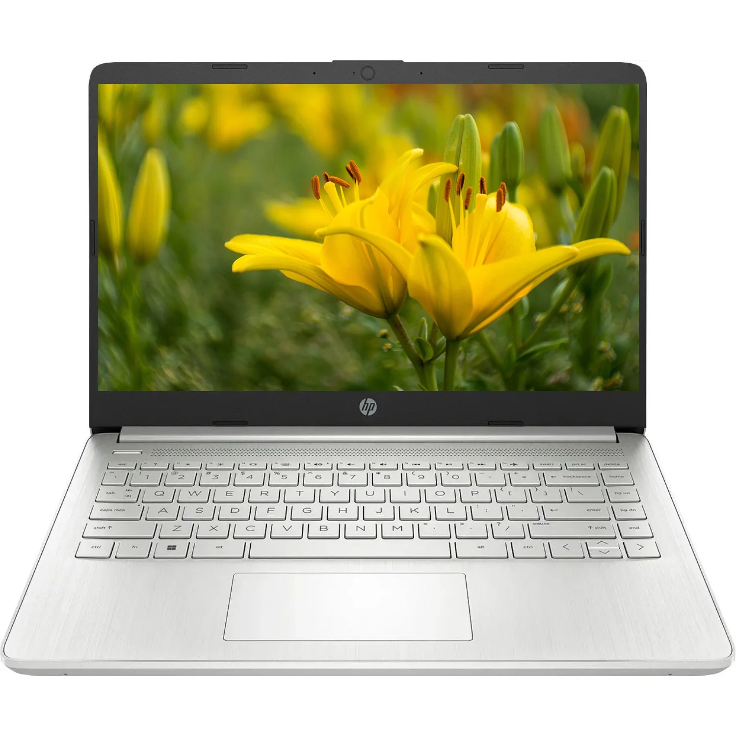 HP 14" Business Laptop,Intel Celeron N4120,16GB RAM,384GB Storage(128GB eMMC+256GB SD Card),Windows 11 Home
HP 14" Business Laptop,Intel Celeron N4120,16GB RAM,384GB Storage(128GB eMMC+256GB SD Card),Windows 11 Home