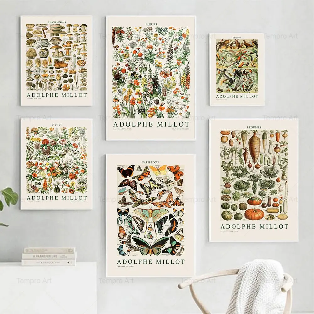 Vintage Plant Encyclopedia Education Posters Butterfly Mushroom Herbs Flowers Insect Classic Wall Art Canvas Painting Home Decor
Vintage Plant Encyclopedia Education Posters Butterfly Mushroom Herbs Flowers Insect Classic Wall Art Canvas Painting Home Decor