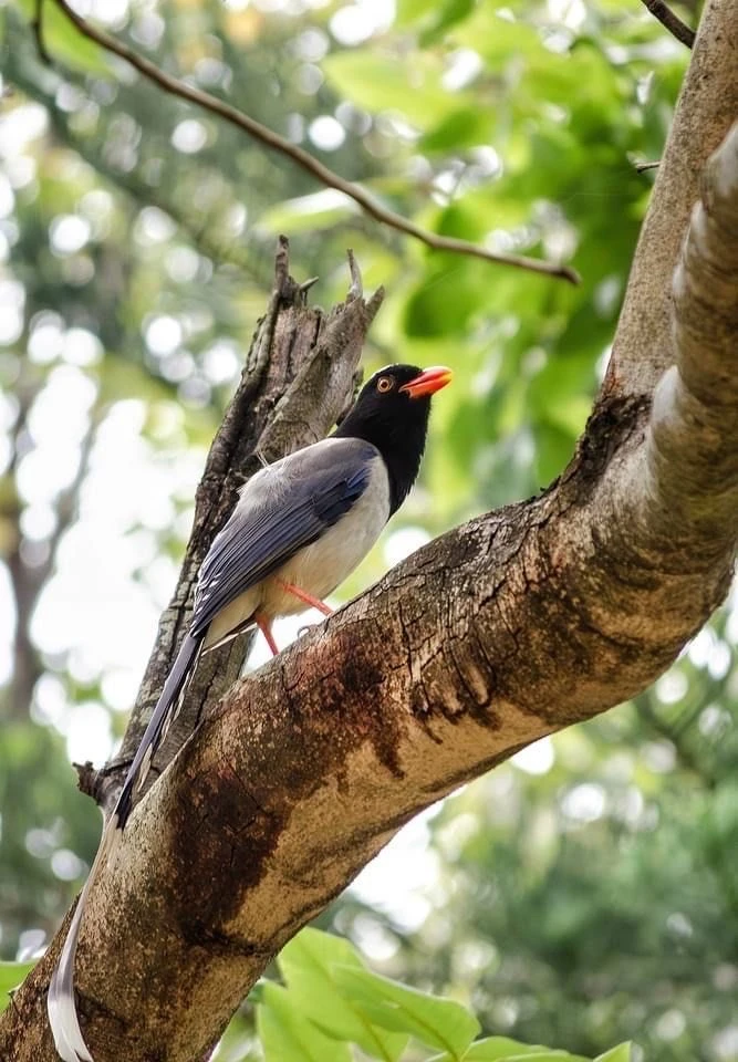 500ml Glass Studded Cocktail Mixing Glass Bar Tool
500ml Glass Studded Cocktail Mixing Glass Bar Tool