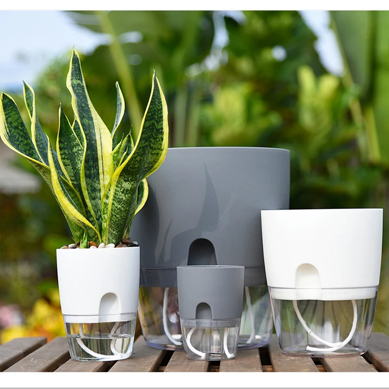 Self Watering Round Plant Pot with Cotton Rope, Flower Plante, Water Container, Automatic Water Absorption, 2 Layers
Self Watering Round Plant Pot with Cotton Rope, Flower Plante, Water Container, Automatic Water Absorption, 2 Layers