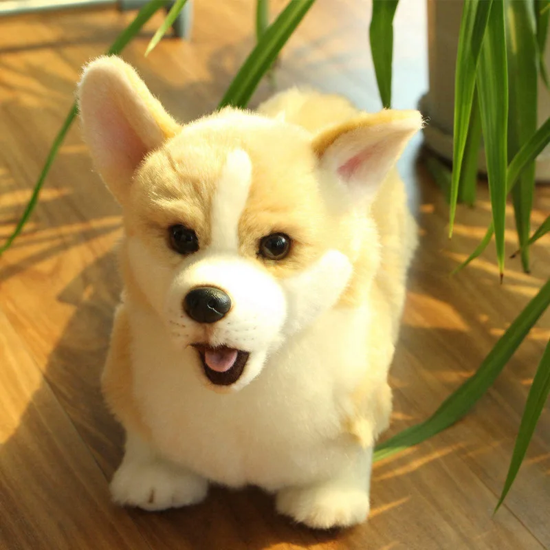 Baby Plush Toy Plush Short-legged Corgi Dog Simulation Dog Stuffed Animal Toys Super Realistic Dog Toy Home Decor Pet Child Gift
Baby Plush Toy Plush Short-legged Corgi Dog Simulation Dog Stuffed Animal Toys Super Realistic Dog Toy Home Decor Pet Child Gift