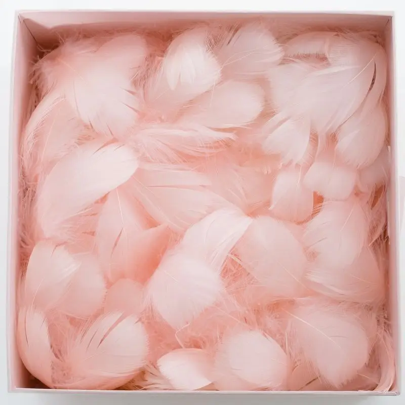 100pcs Colorful Feather Gift Box Filler Interior Decoration For Wedding Valentine's Day BalloonsDecor Gifts Packaging Plume
100pcs Colorful Feather Gift Box Filler Interior Decoration For Wedding Valentine's Day BalloonsDecor Gifts Packaging Plume