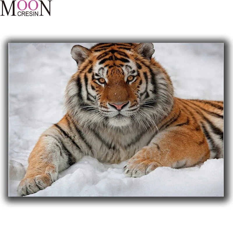 Diy Diamond Painting Tiger In The Snow Diamond Embroidery Cross Stitch Diamond Mosaic Full Square Round Drill Rhinestones Home
Diy Diamond Painting Tiger In The Snow Diamond Embroidery Cross Stitch Diamond Mosaic Full Square Round Drill Rhinestones Home