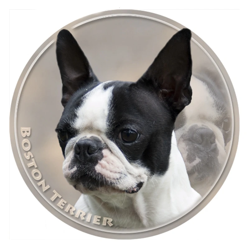 S40317 # различные размеры ПВХ наклейка Бостон-терьер Автомобильная наклейка водонепроницаемая для бампера заднего окна ноутбука холодильник...
S40317 # различные размеры ПВХ наклейка Бостон-терьер Автомобильная наклейка водонепроницаемая для бампера заднего окна ноутбука холодильник...