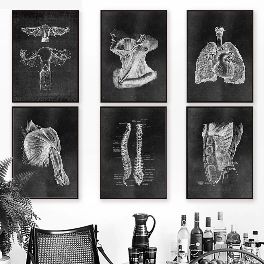 Muscle Foot Bone Heart Anatomy Skeleton Wall Art Canvas Painting Nordic Posters And Prints Wall Pictures For Doctor Office Decor
Muscle Foot Bone Heart Anatomy Skeleton Wall Art Canvas Painting Nordic Posters And Prints Wall Pictures For Doctor Office Decor