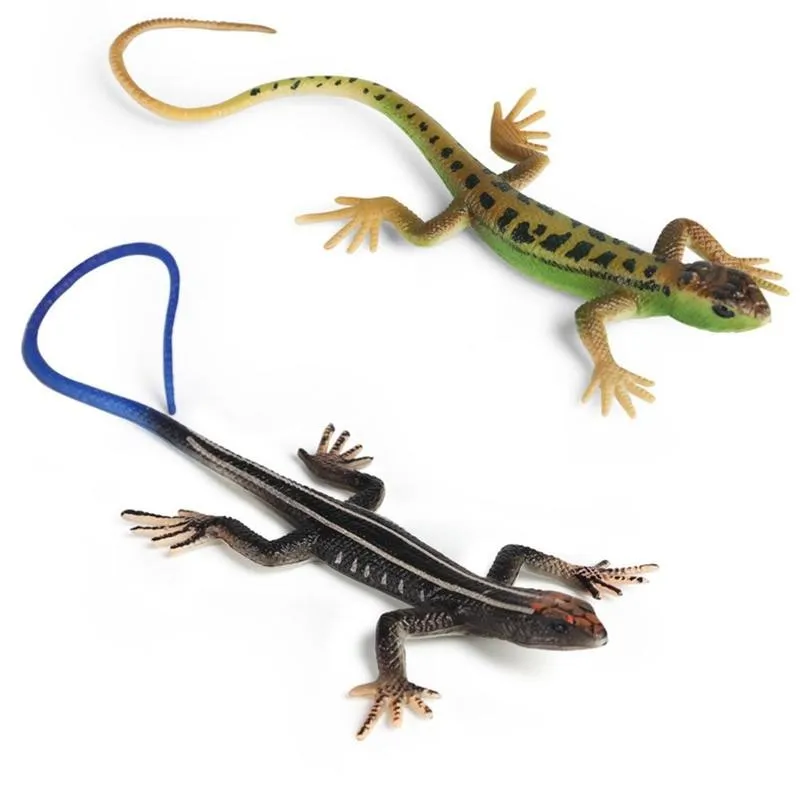 1pcs Simulation Four-legged Snake Animal Model Toy Kids Gift Lizards Animal Model Action Figure Garden Ornaments Kids Prank Toy
1pcs Simulation Four-legged Snake Animal Model Toy Kids Gift Lizards Animal Model Action Figure Garden Ornaments Kids Prank Toy