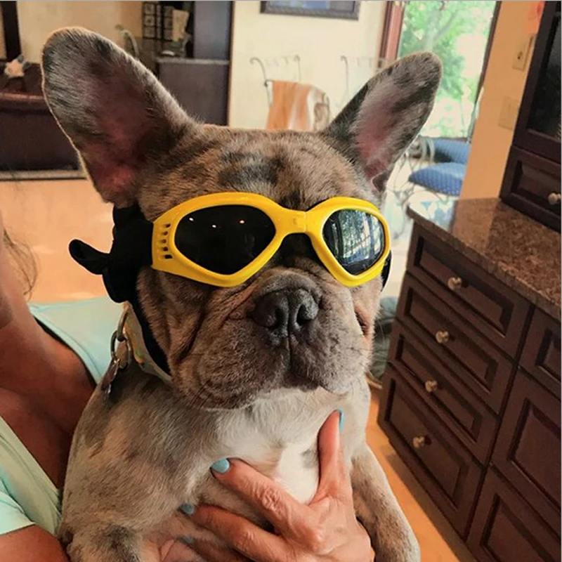 Pet accessories cat dog glasses goggles foldable anti-UV sunglasses waterproof pet photo props for small medium dog product pug
Pet accessories cat dog glasses goggles foldable anti-UV sunglasses waterproof pet photo props for small medium dog product pug