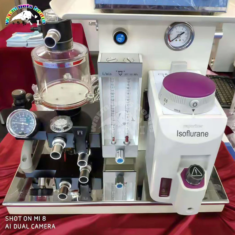 Animal Anesthesia Machine Vet Portable Pet Dog Cat Medical Anesthesia Apparatus Hospital Veterinary Anesthesia Equipment
Animal Anesthesia Machine Vet Portable Pet Dog Cat Medical Anesthesia Apparatus Hospital Veterinary Anesthesia Equipment