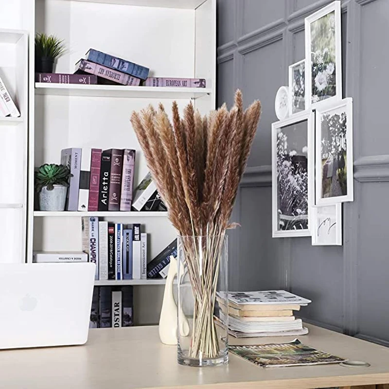 15Pcs Pampas Grass 18Tall Dried Pompous Grass Pompass Branches for Vase Flower Arrangement Wedding Kitchen Home Decor Whit
15Pcs Pampas Grass 18Tall Dried Pompous Grass Pompass Branches for Vase Flower Arrangement Wedding Kitchen Home Decor Whit
