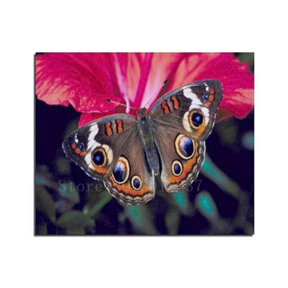 Diamond Mosaic 5D Diy Diamond Embroidery Butterfly Gathering Honey Full Diamond Painting Cross Stitch Rhinestone Home Decoration
Diamond Mosaic 5D Diy Diamond Embroidery Butterfly Gathering Honey Full Diamond Painting Cross Stitch Rhinestone Home Decoration