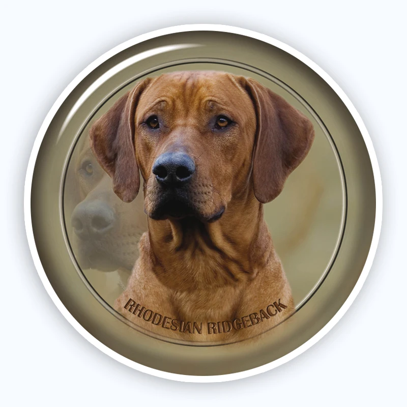 A0689 # различные размеры Съемная наклейка Rhodesian Ridgeback 88 наклейка водонепроницаемые аксессуары на бампер заднее окно ноутбук
A0689 # различные размеры Съемная наклейка Rhodesian Ridgeback 88 наклейка водонепроницаемые аксессуары на бампер заднее окно ноутбук