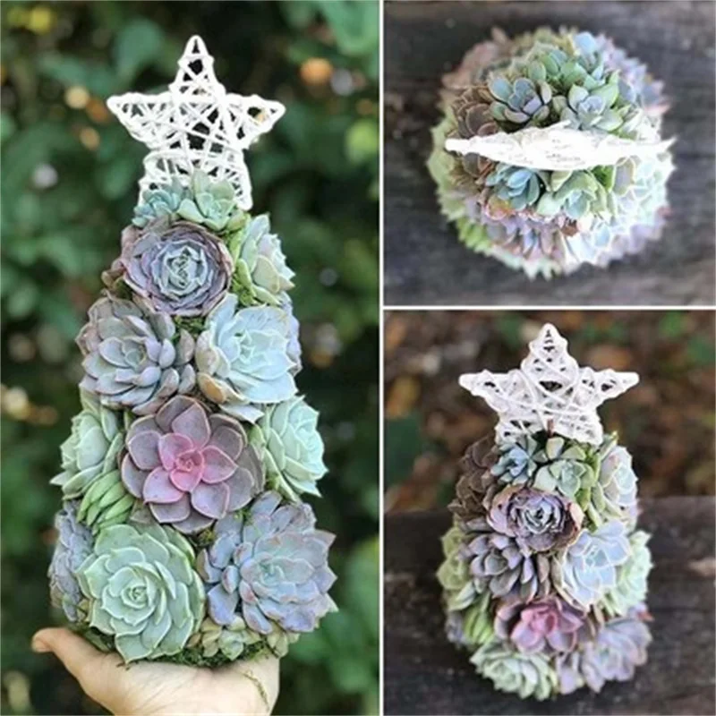Simulation of Succulent Christmas Tree Christmas Day Garden Home Living Room Study Cabinet Decoration Resin Christmas Decoration
Simulation of Succulent Christmas Tree Christmas Day Garden Home Living Room Study Cabinet Decoration Resin Christmas Decoration