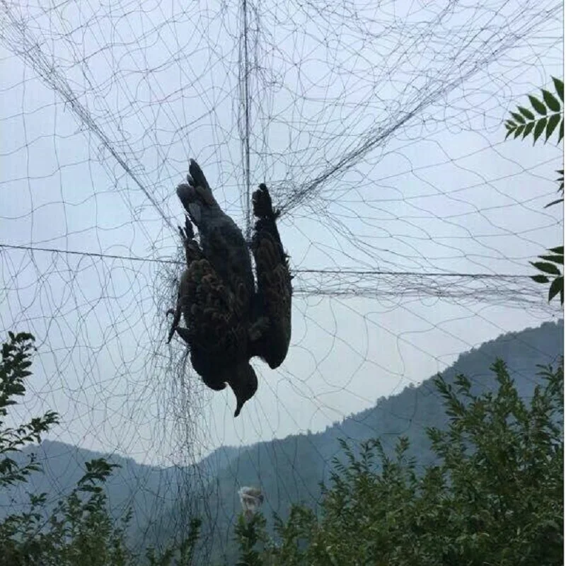 Prevent big bird nets, bird nets, forest protection nets, fruit farmers do not hurt birds, orchard protection bird nets
Prevent big bird nets, bird nets, forest protection nets, fruit farmers do not hurt birds, orchard protection bird nets