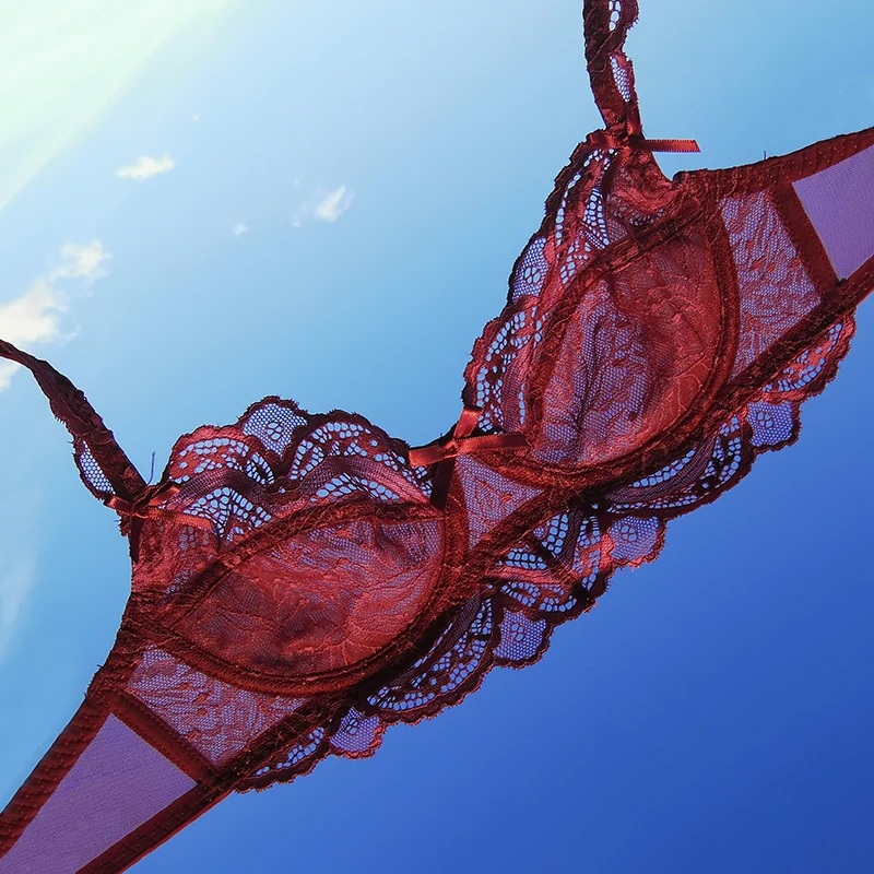 French Lace Underwear Set Women Sexy Push Up Women's Bra And Panties Transparent Lingerie Sets E Plus Size Red White Black 2020
French Lace Underwear Set Women Sexy Push Up Women's Bra And Panties Transparent Lingerie Sets E Plus Size Red White Black 2020