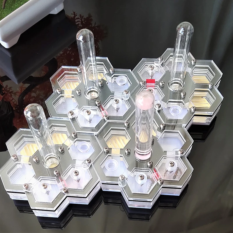 Acrylic Ant Workshop Honeycomb Ant Farm Insert Version With Moisturizing Water Tower Unlimited Connection Nest
Acrylic Ant Workshop Honeycomb Ant Farm Insert Version With Moisturizing Water Tower Unlimited Connection Nest