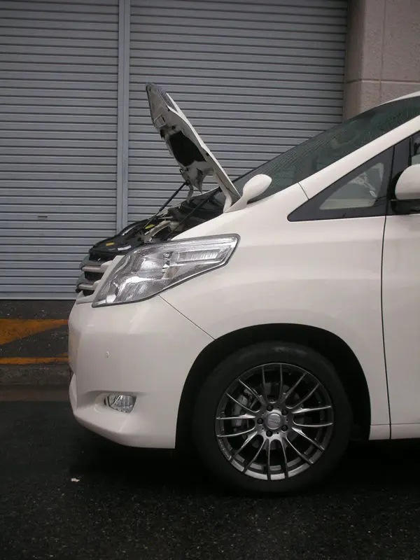 Для 2008-2015 Toyota ALPHARD GGH25 мини фургон передний капот модифицирующие газовые стойки углеродное волокно пружинный демпфер подъемник опорный поглотитель
Для 2008-2015 Toyota ALPHARD GGH25 мини фургон передний капот модифицирующие газовые стойки углеродное волокно пружинный демпфер подъемник опорный поглотитель